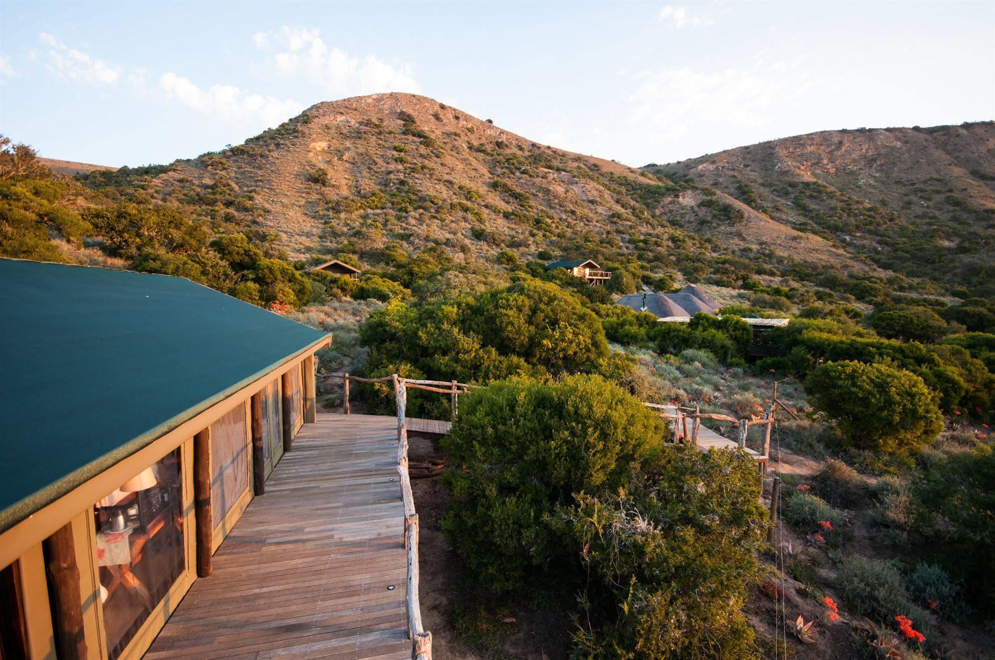 Hillsnek Safari Camp - Amakhala Game Reserve Exterior foto